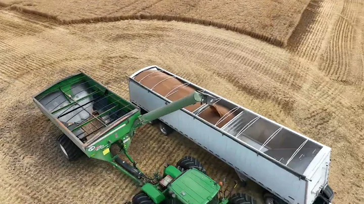 Allison Farms Harvest 2022