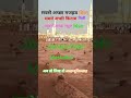 mujrim hon jahan bhar ko l #madina #madinahlive #shortsfeed #masjidnabawi #umarh