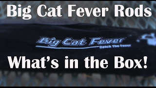 Big Cat Fever Rod - Catch The Fever - Catfishing Rods