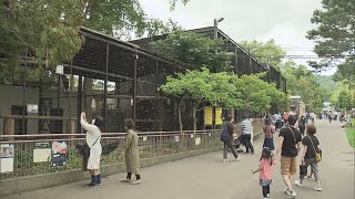 円山動物園　賑わう　４連休初日【HTBニュース】