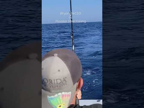 WOW HUGE FISH!