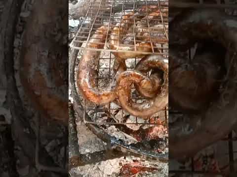 Video Món Ngon Mỗi Ngày.Cầy Tơ 7 Món Đây... - youtube