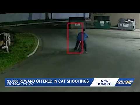 Investigators search for man accused of shooting, killing cats in Palm Beach County