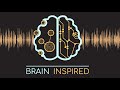 BI NMA 04: Deep Learning Basics Panel