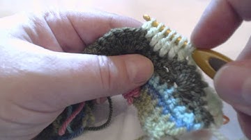 VIDEO 17 OF LILY POND CAL -Row 6 Part 4 of CAL