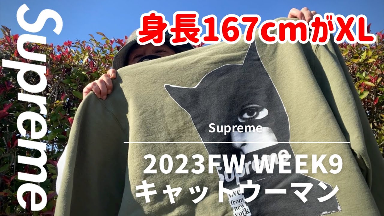 Supreme 2023FW Week9 Catwoman Hooded Sweatshirt - YouTube