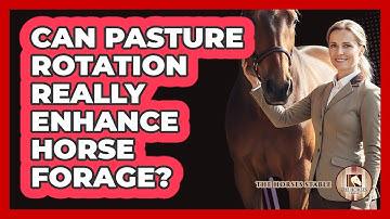 Can Pasture Rotation Really Enhance Horse Forage?