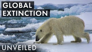 What If We're Already Going Extinct? | Unveiled