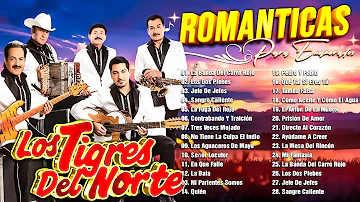 LOS TIGRES DEL NORTE CORRIDOS PROHIBIDOS ALBUM COMPLETO - PUROS CORRIDOS PESADOS DE TIGRES DEL NORTE