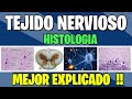 TEJIDO NERVIOSO COMPLETO | Histologia