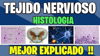 TEJIDO NERVIOSO COMPLETO | Histologia