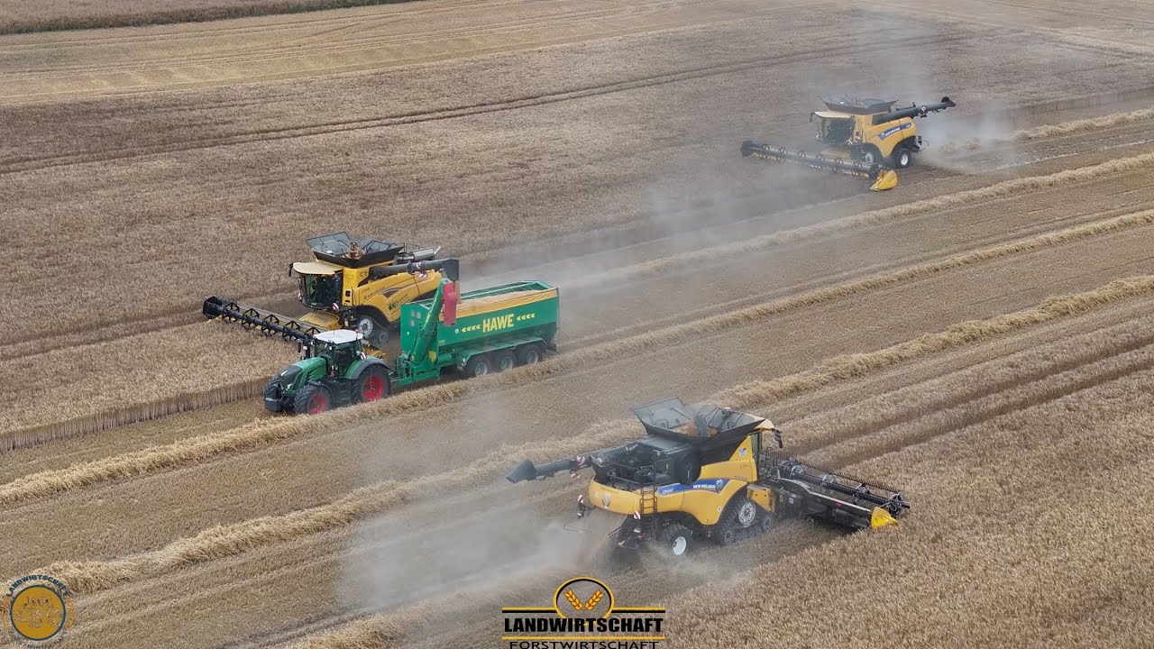 Also 150ha/Tag sind machbar! Gerste Weizen Roggen Getreideernte 3 Mähdrescher im Einsatz New Holland