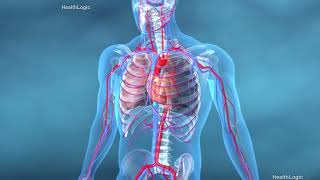 OKRAThe Superfood That Heals Your Body Inside & Out  Dr Mandell_R