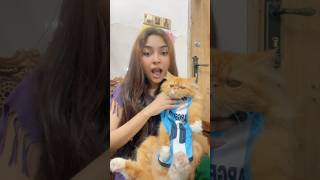 We support Argentina⚽️ 🇦🇷 #cat #soccer #funny #shorts #love #youtubeshorts #viral #trending #pets