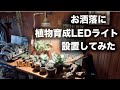 お洒落に植物育成LED設置してみた