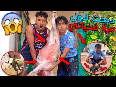 دبحت خروف في عيد الأضحى لاول مرة فحياتي شوفوا شنوا وقع ليا