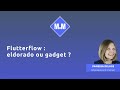 Flutterflow : eldorado ou gadget ?