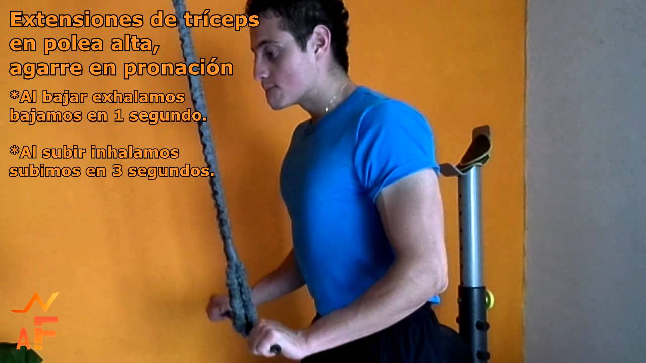 extensiones invertidas a una mano en polea