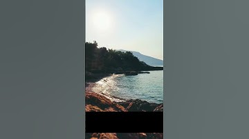 تلاوة ايات من القران بصوت القارئ وديع اليمني #القرآن_الكريم  #تلاوة_خاشعة