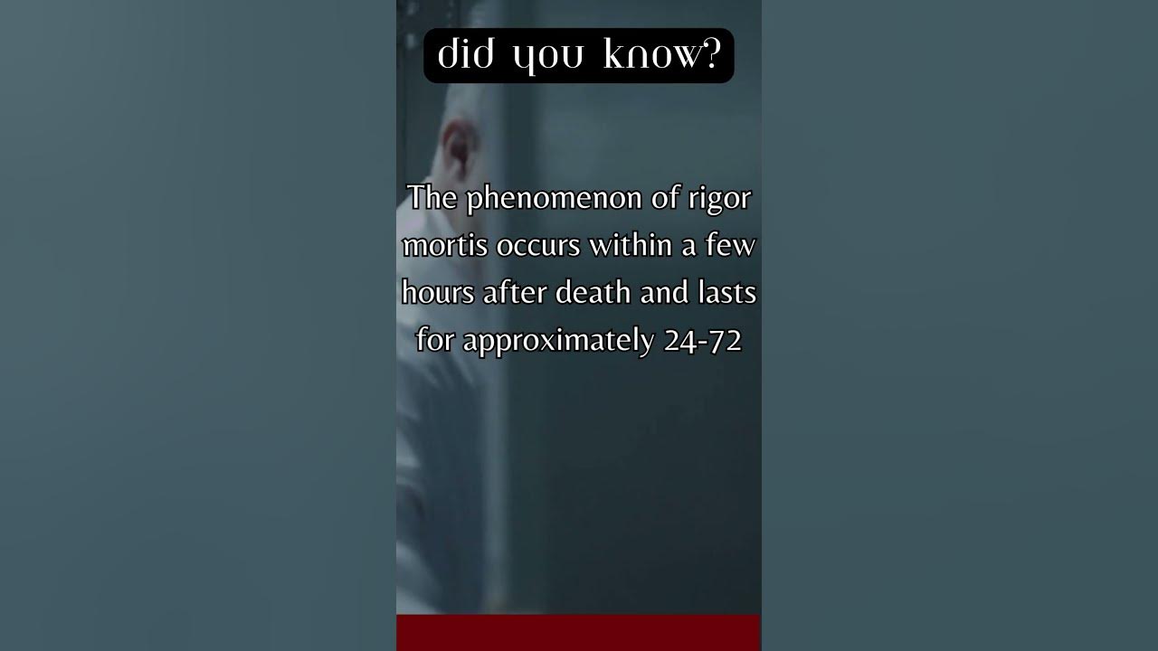 how-long-does-rigor-mortis-last-shorts-morbid-facts