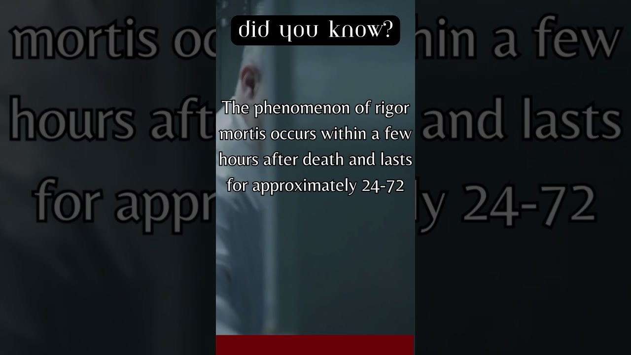 How Long Does Rigor Mortis Last shorts morbid facts How Long Does Rigor Mortis Last shorts morbid facts