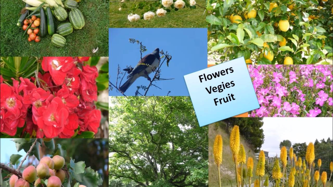 Lifestlyle property for sale Hawkes Bay New Zealand YouTube