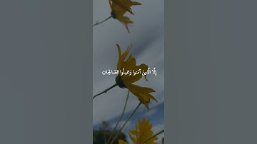 سورة الشعراء: القارئ اسلام صبحي