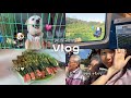 Vlogㅣ하부지 생파👴🏻 • 우당탕탕 가족사진📸 • 시골 가면 먹고먹고먹고...🍚