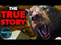 The Untold Story of the Cocaine Bear