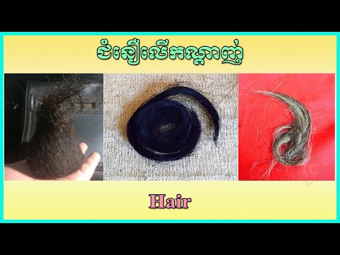 Hair ជំនឿលើកណ្តាញ់