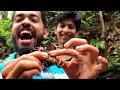 കുളത്തിലെ ഞണ്ടിന്റെ നല്ല അടിപൊളി “കടി” | crab fishing Kerala | kerala fishing and cooking