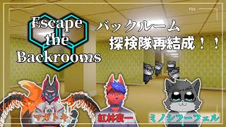 【Escape the Backrooms/コラボ】 ホラー苦手な二人を捕まえて、バックルーム探検隊だ！！【 獣人vtuber 】
