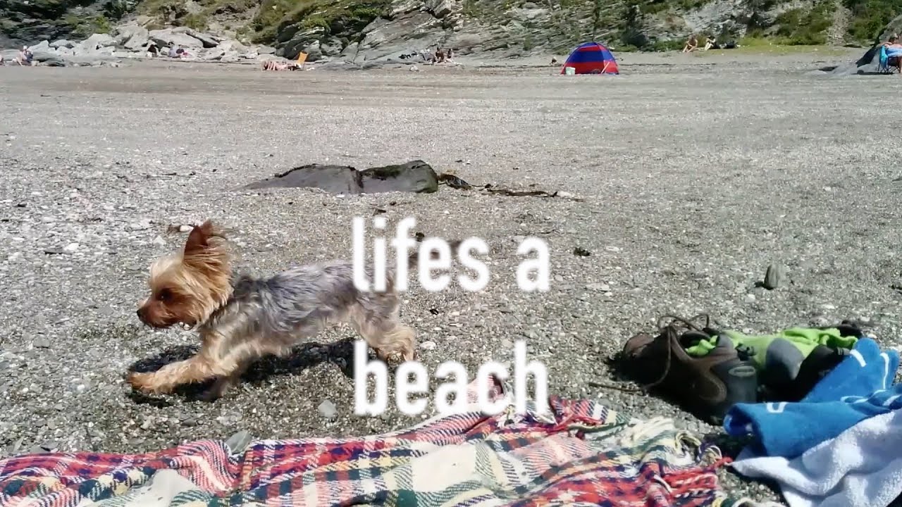 Highertown Farm Campsite Cornwall our camping trip! YouTube Highertown Farm Campsite Cornwall our camping trip! YouTube