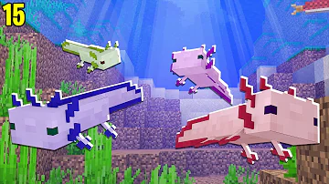 Como cruzar Axolotl no Minecraft?