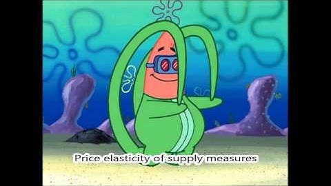 The E-Cons - Part 2 - Chapter 5: Elasticity and its Application