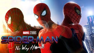 Spider Man No Way Home: What's Up Danger