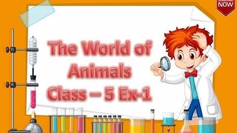 The World of Animals |Animation Video Class -5 | Ex-1 For | CBSE SCHOOL|