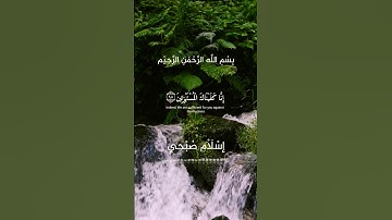 تلاوة هادئة تريح القلب للقارئ اسلام صبحي #اكسبلور #قرآن #دويتو #ارح_قلبك #تيك_توك #duet #حالات_واتس