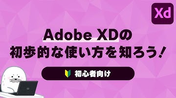 【Adobe XD】初歩的な使い方を知ろう！【初心者向け】
