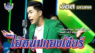 ไอ้หนุ่มกองเชียร์ - ม้อส มณฑล【Official MV】