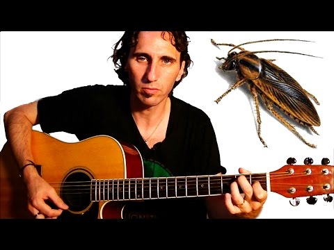 Blooper! Cucaracha Voladora Ataca Guitarrista! Flying Cockroach Attacks Guitarist!TCDG
