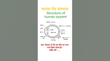 म नव न त र स रचन Structure Of Human Eyes Aankh Ki Sanrachana Eyes Structure Class 10 