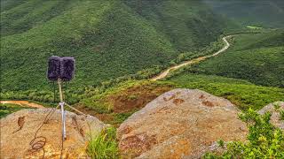 Pure Nature Sounds - Mkuze Lookout, South Africa screenshot 4