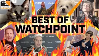 A CHICKEN, A PLUNGER, and A HEROIC Cat Walk Into A Studio... 🤣 — Best Of Watchpoint 2020