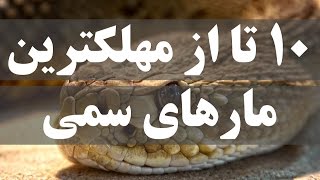 ۱۰ تا از مهلکترین مارهای سمی جهان