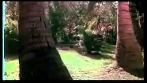 Veenapoove Kumaranasante   Evergreen Malayalam Song