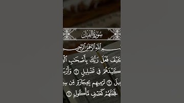 #سورة_الفيل #سورة #القرآن_الكريم #لايك #اكسبلور