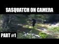 Sasquatch on camera compilation  part 1 bigfoot sasquatch yeti