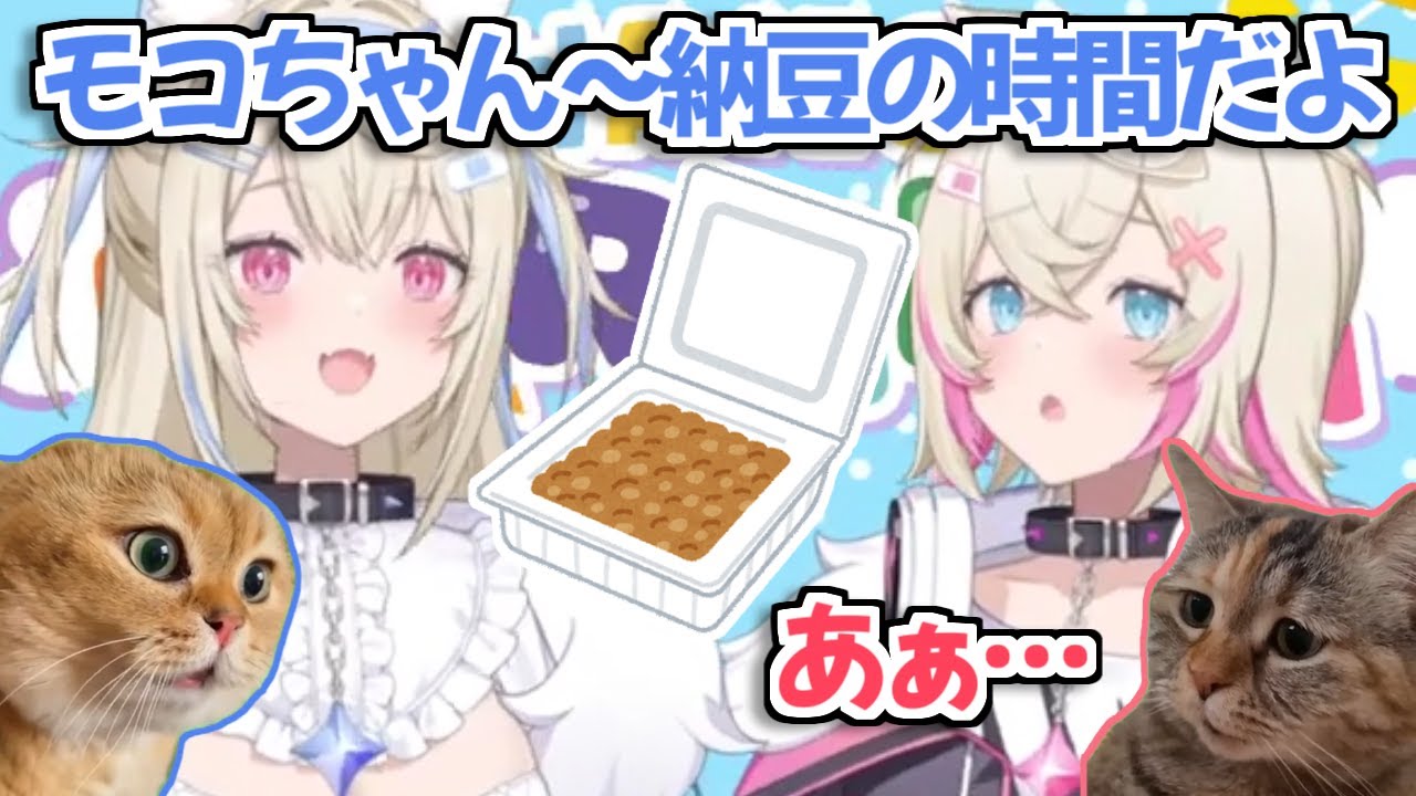 【ホロライブ切り抜き】納豆食べて欲しいフワワと食べたくないモココのやり取りが完全に猫ミームだったｗ【FUWAMOCO】