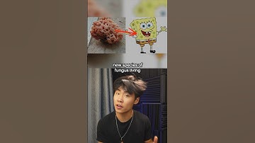 Scientists Were NOT Happy With This Name #shorts